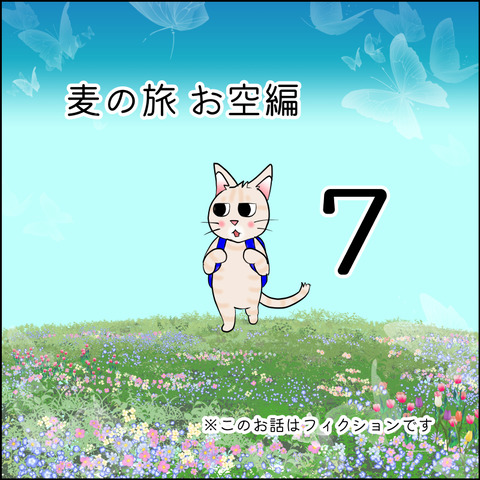 mugitabix007@