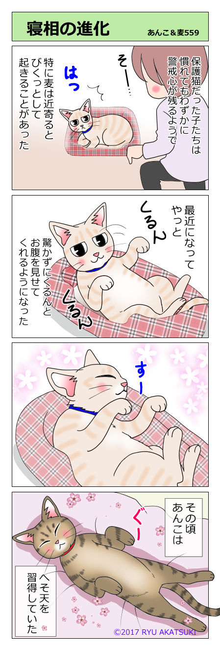 あんこ＆麦STORY559