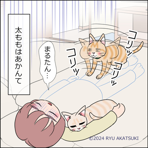 あんこ＆麦STORY2049d