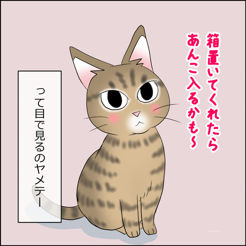 あんこ＆麦STORY2107d