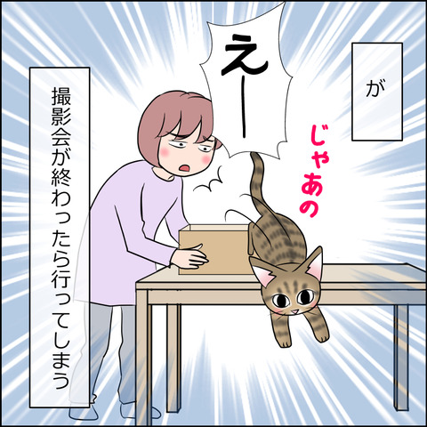 あんこ&麦STORY1838b