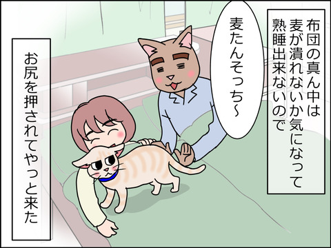 あんこ&麦STORY1513b