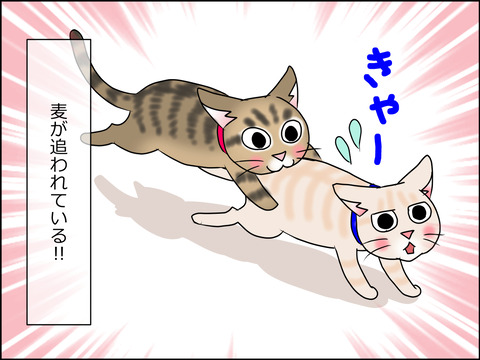 あんこ&麦STORY1458a