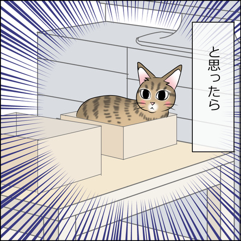 あんこ＆麦STORY1976b