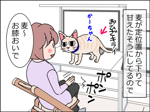 あんこ&麦STORY1462a