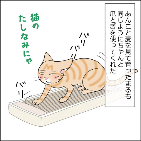 あんこ＆麦STORY2453b
