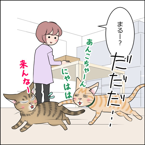 あんこ＆麦STORY2101b