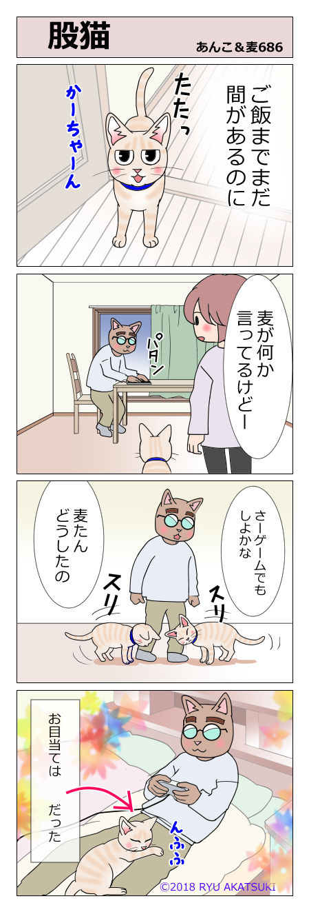 あんこ&麦STORY686