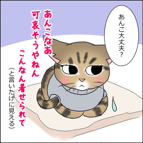 あんこ＆麦kenko45b