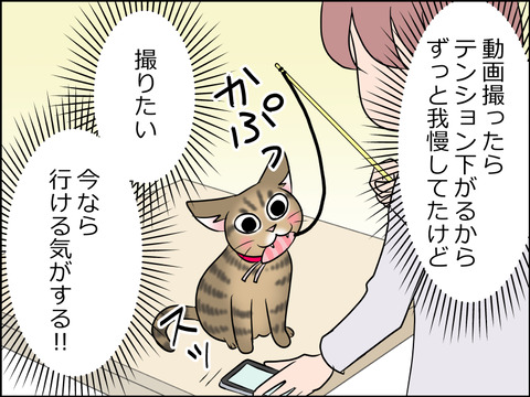 あんこ＆麦STORY1548b