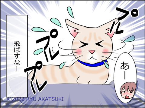 あんこ&麦STORY1580d