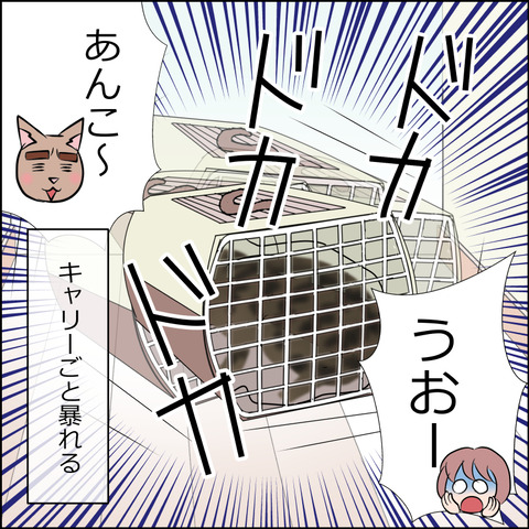 あんこ＆麦STORY2017d