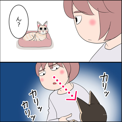 あんこ＆麦STORY2241c