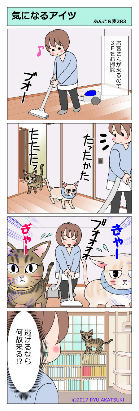あんこ&麦STORY283