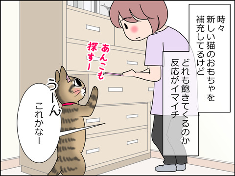 あんこ&麦STORY1456a