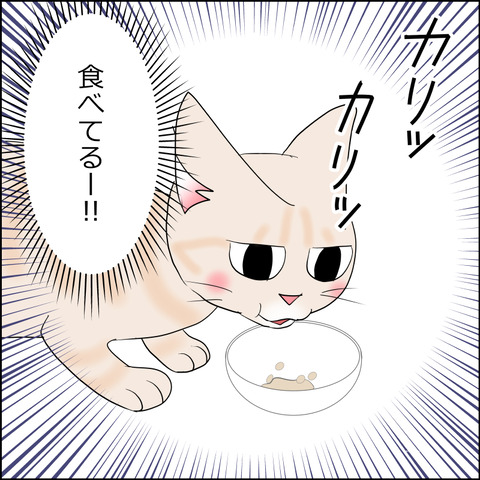 あんこ＆麦kenko106b