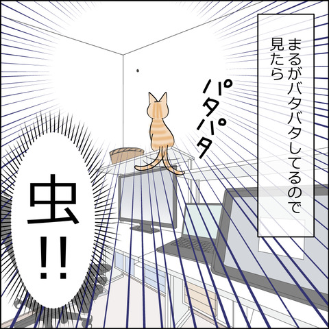あんこ＆麦STORY2456a