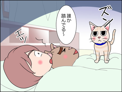 あんこ&麦STORY1448c