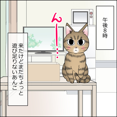 あんこ＆麦STORY2059a