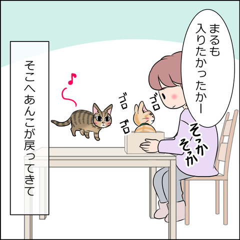 あんこ＆麦STORY1774c