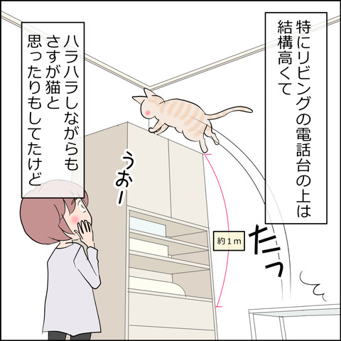 あんこ&麦STORY2495b