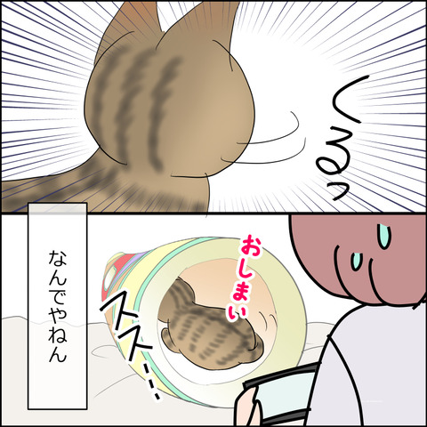 あんこ&麦STORY2329d