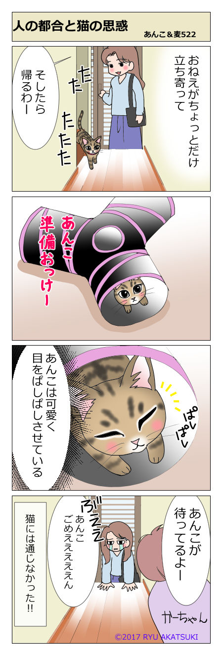 あんこ&麦STORY522