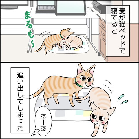 あんこ＆麦STORY1863a