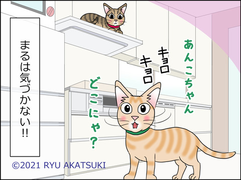 あんこ&麦STORY1438d