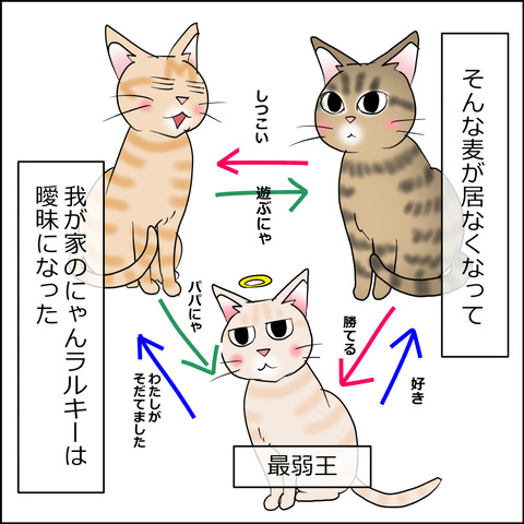 あんこ&麦STORY2425a