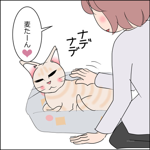 あんこ＆麦STORY2449a