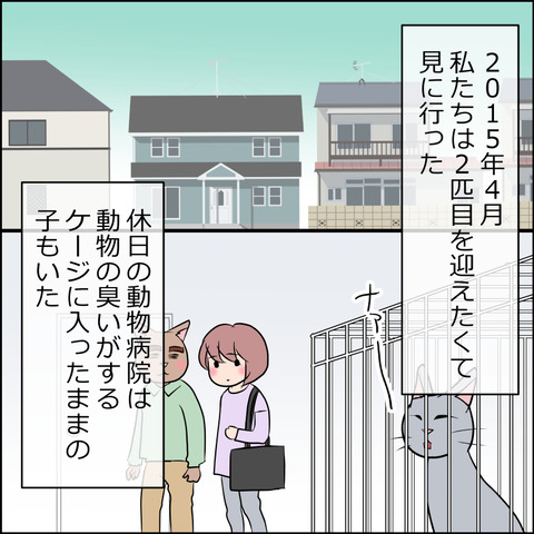 あんこ＆麦STORY1854a