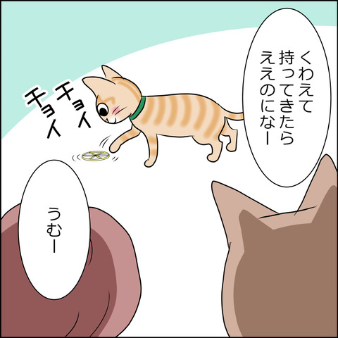 あんこ＆麦STORY1729b