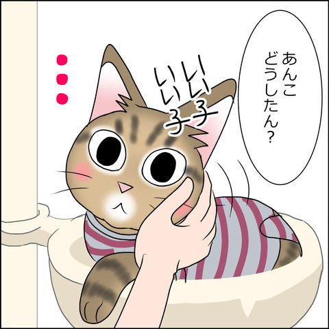 あんこ&麦STORY1701c