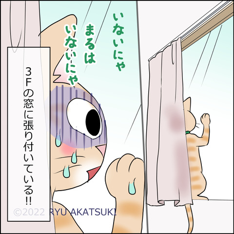 あんこ&麦STORY1641d