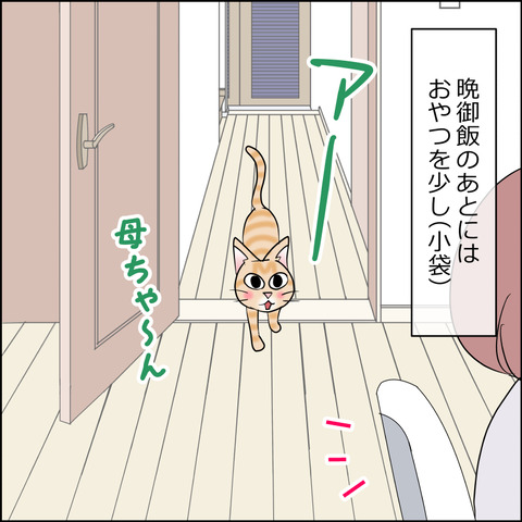 あんこ＆麦STORY2498b