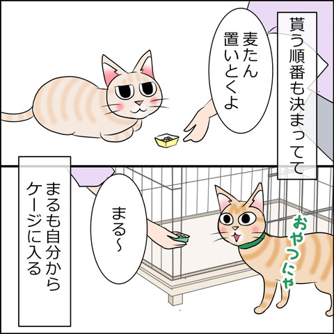 あんこ＆麦STORY1954b