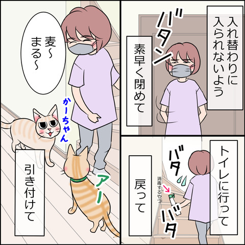 あんこ＆麦STORY1964c