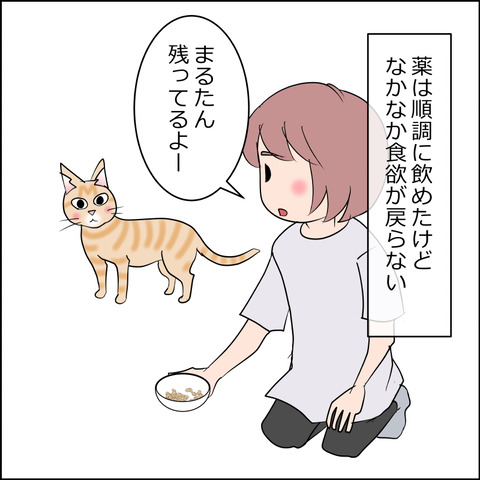 あんこ&麦kenko162a