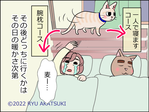 あんこ＆麦STORY1582d