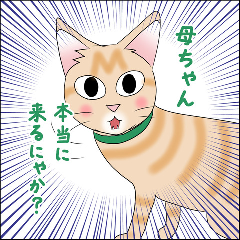 あんこ＆麦STORY2060c