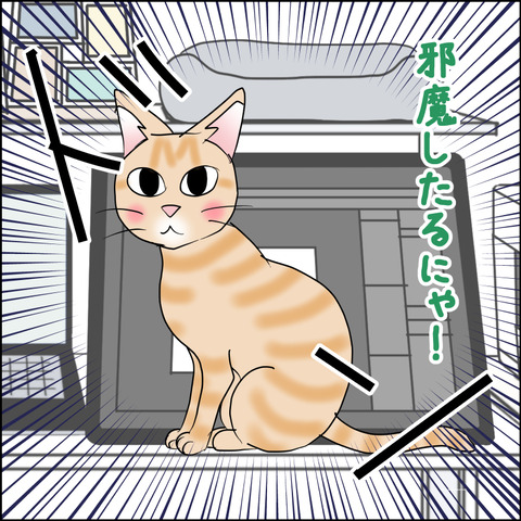 あんこ&麦STORY2464d