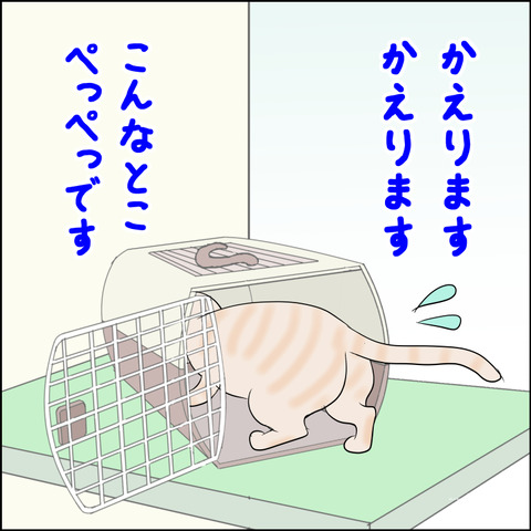 あんこ＆麦kenko104g