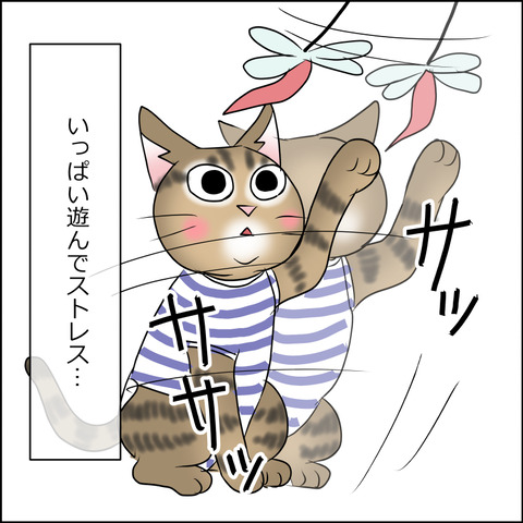 あんこ&麦STORY1683b