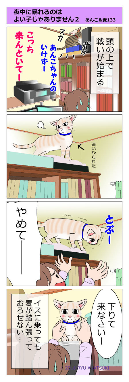 あんこ&麦STORY133