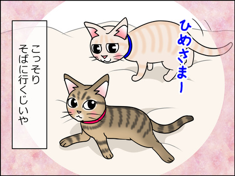 あんこ&麦STORY1474d