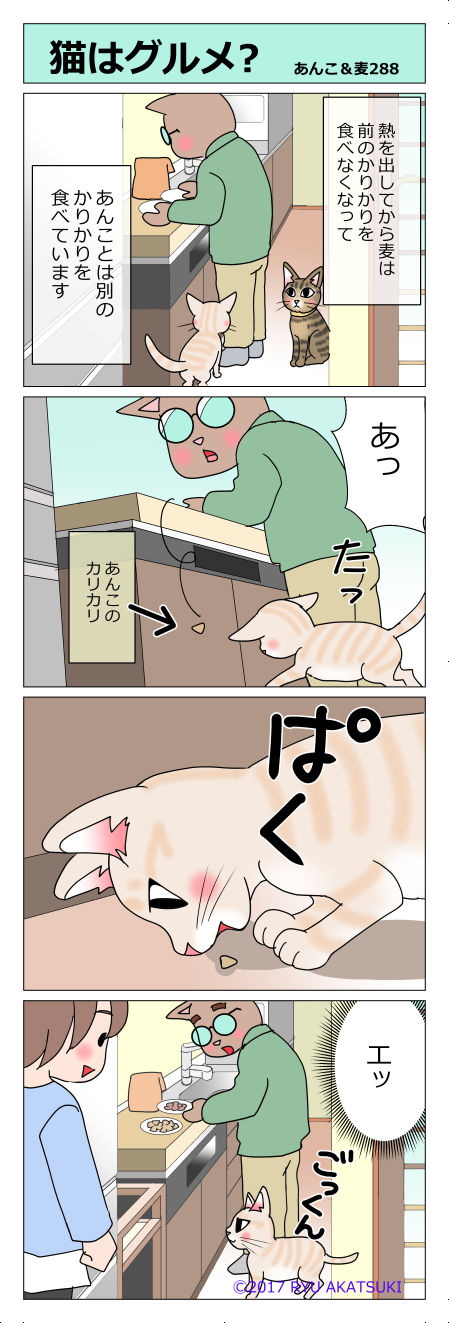 あんこ&麦STORY288