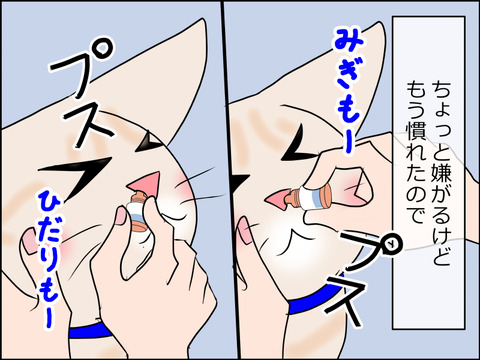 あんこ&麦STORY1580b