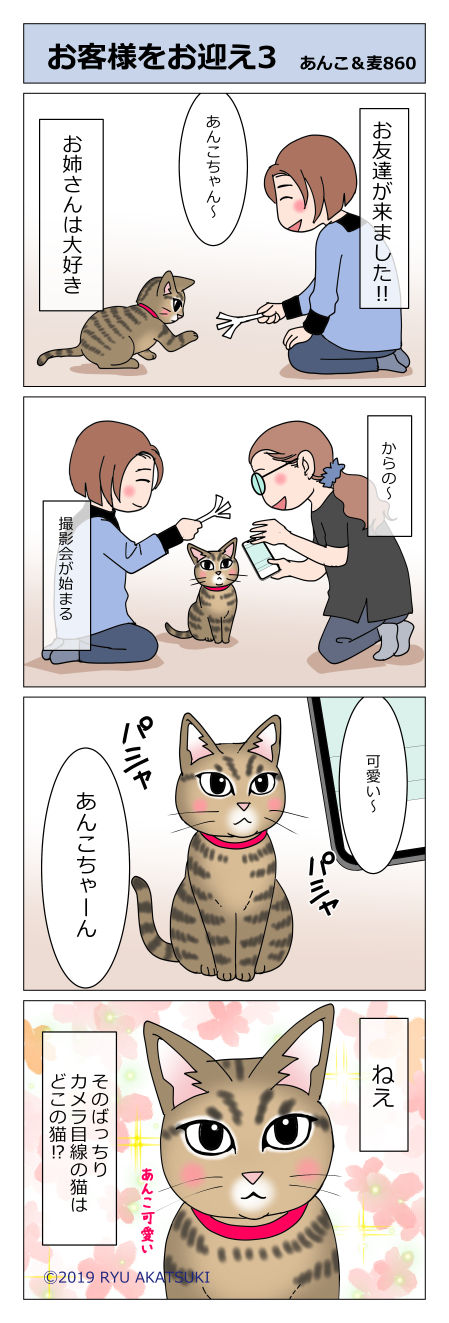 あんこ&麦STORY860