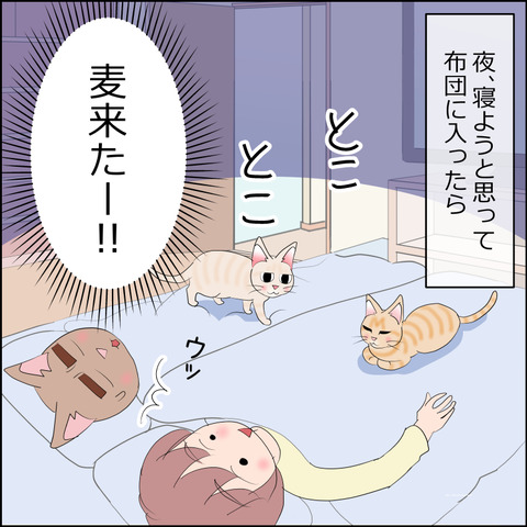 あんこ＆麦STORY2358a